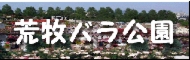 荒牧バラ公園
