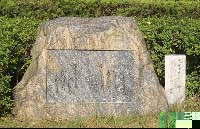 12 読み人しらず 元永本古今和歌集「古今和歌集」より