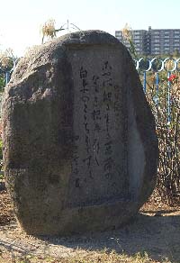 14　待賢門院堀河　田辺聖子筆「詞花和歌集」より