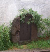 42　牡丹花肖柏　春夢草「春夢草」より